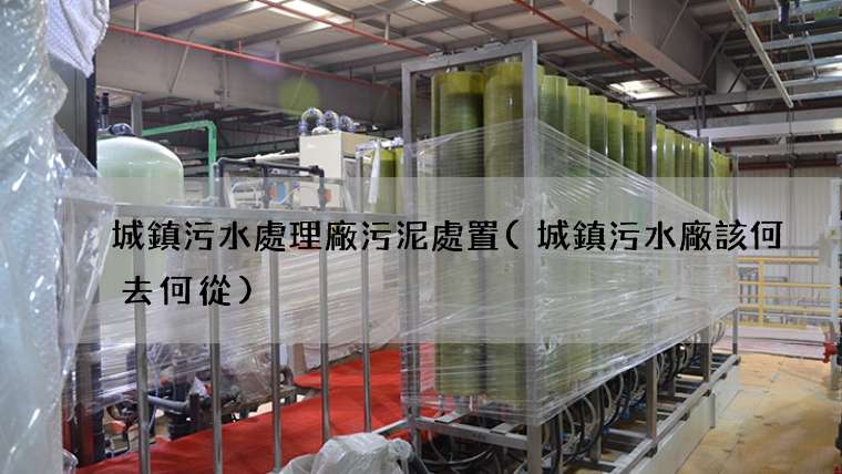 城鎮污水處理廠污泥處置(城鎮污水廠該何去何從)